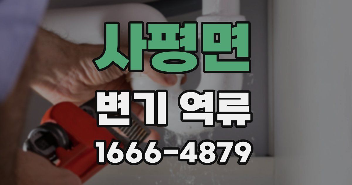 사평면 변기 역류