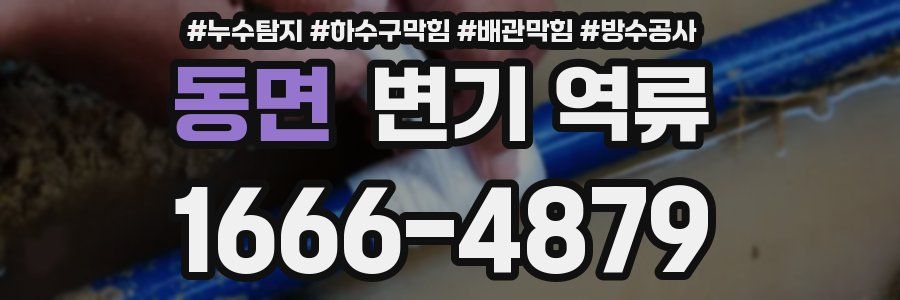 동면 변기 역류