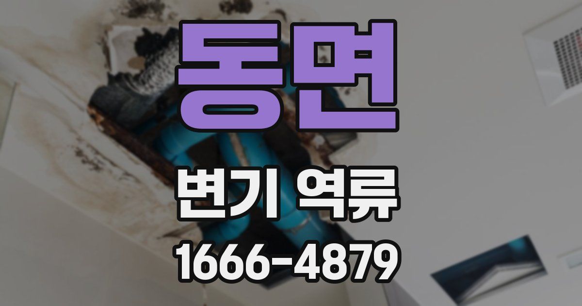 동면 변기 역류
