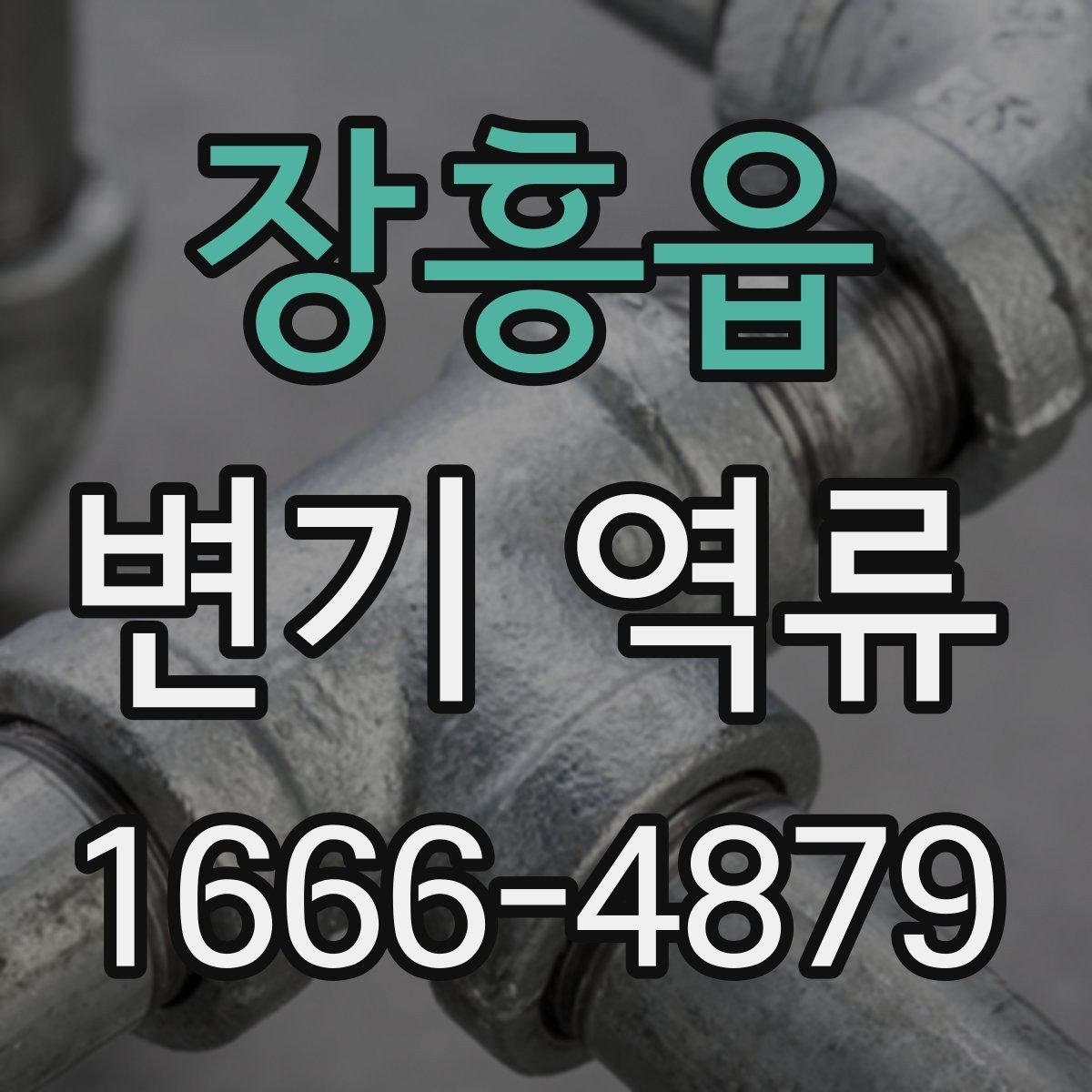 장흥읍 변기 역류 예방을 위한 화장실 사용 습관