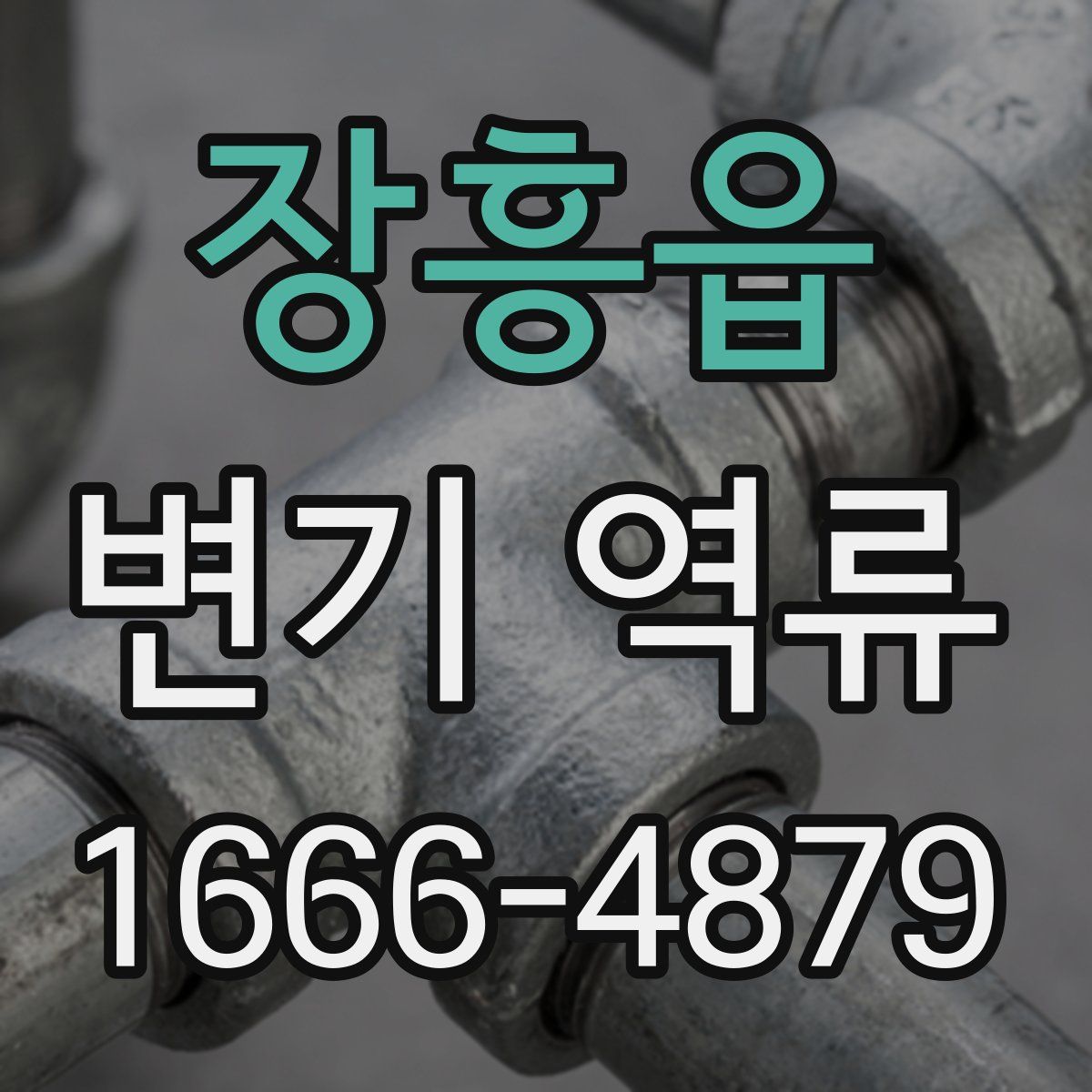 장흥읍 변기 역류