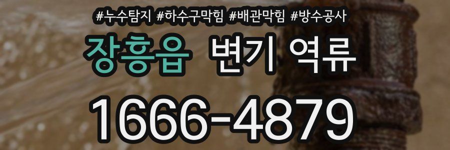 장흥읍 변기 역류