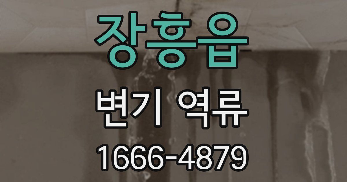 장흥읍 변기 역류