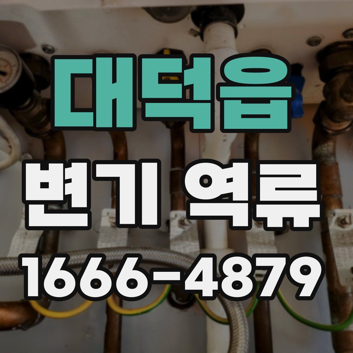 대덕읍 변기 역류