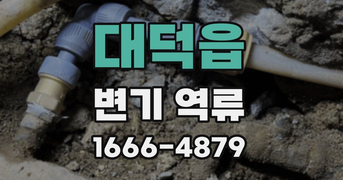 대덕읍 변기 역류