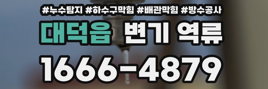 대덕읍 변기 역류