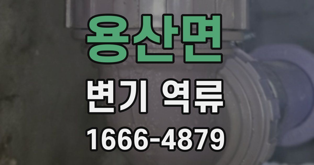 용산면 변기 역류