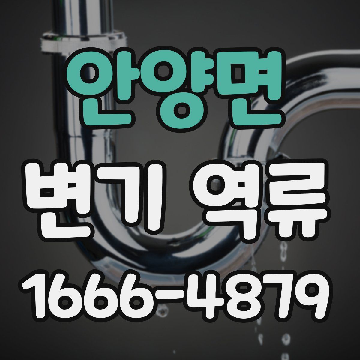 안양면 변기 역류