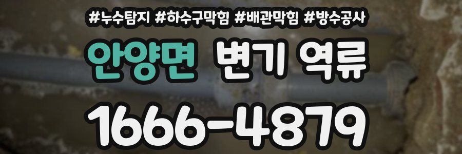 안양면 변기 역류
