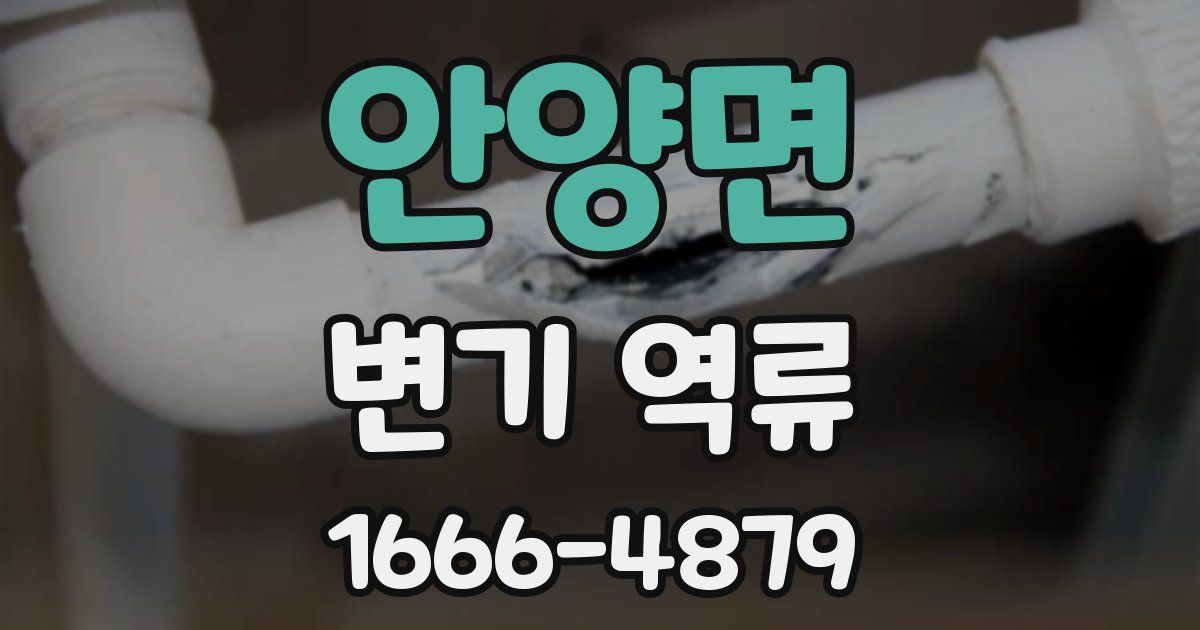 안양면 변기 역류