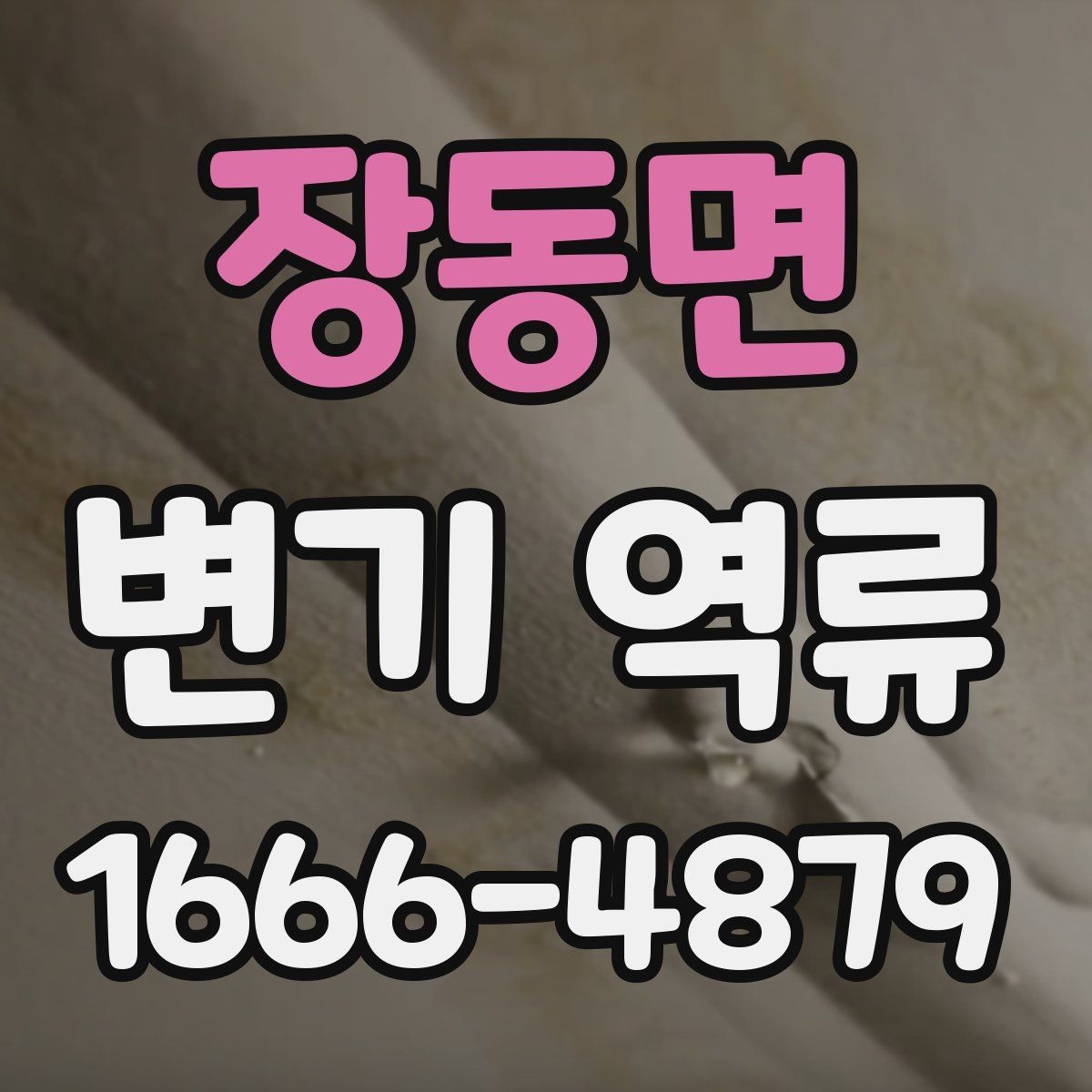장동면 변기 역류 현상에 대한 기본 이해