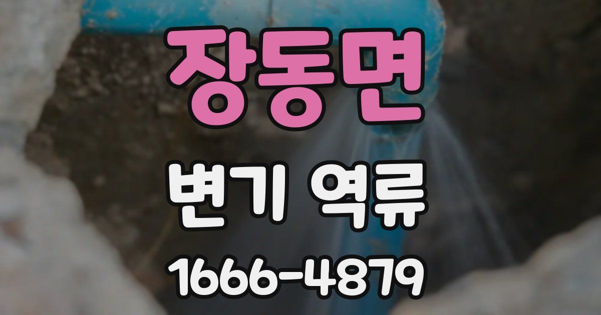 장동면 변기 역류