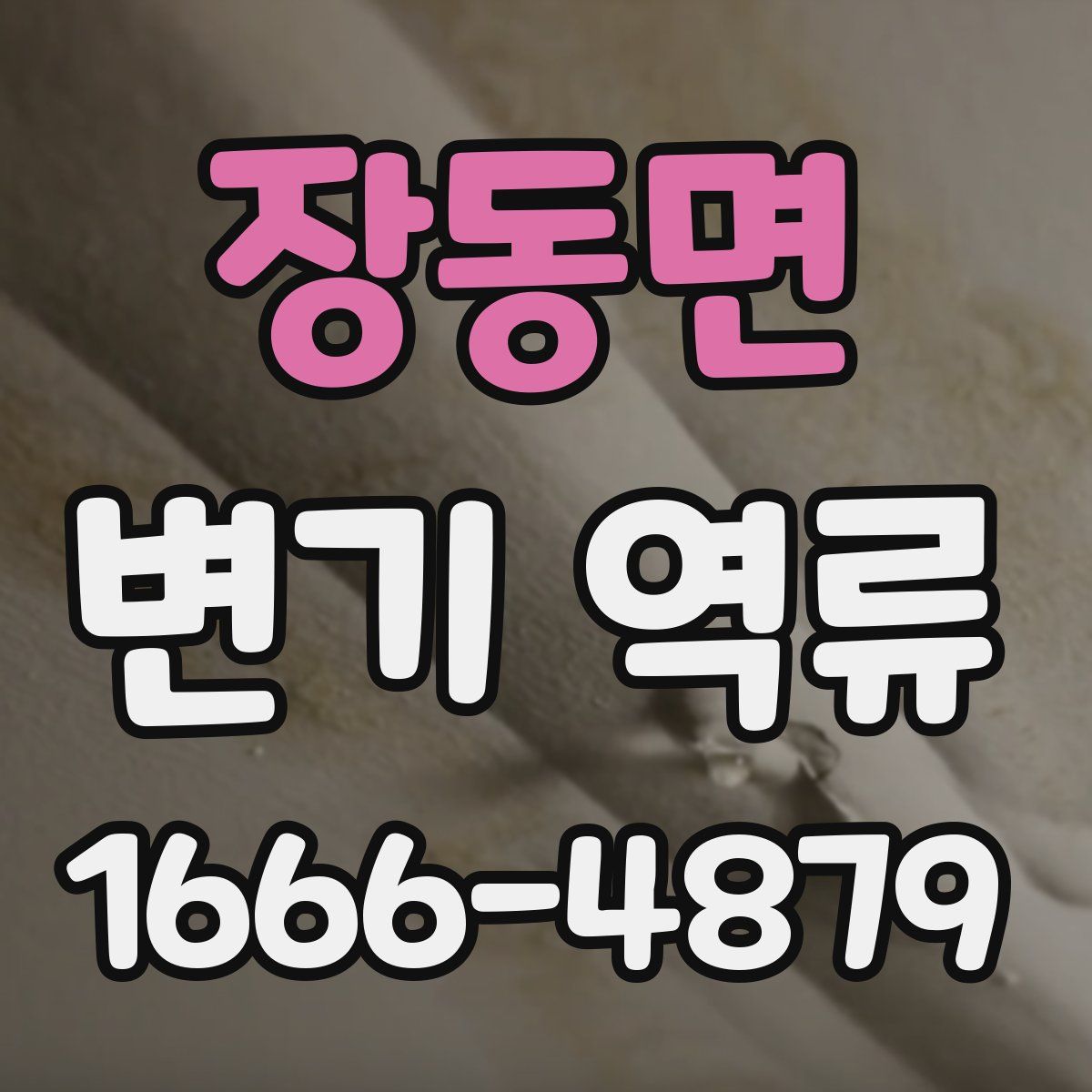 장동면 변기 역류