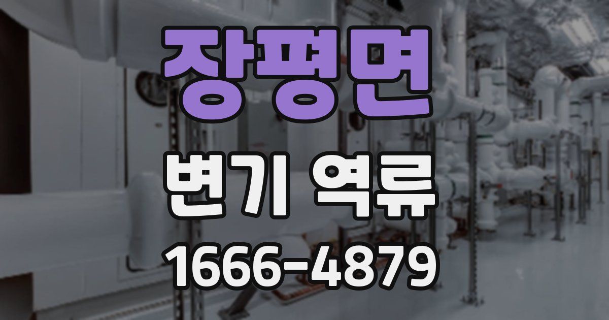 장평면 변기 역류