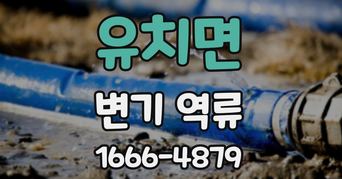 유치면 변기 역류