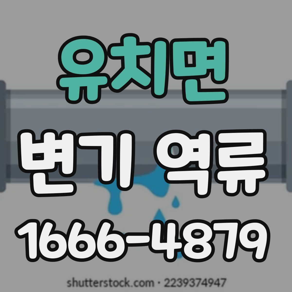 유치면 변기 역류