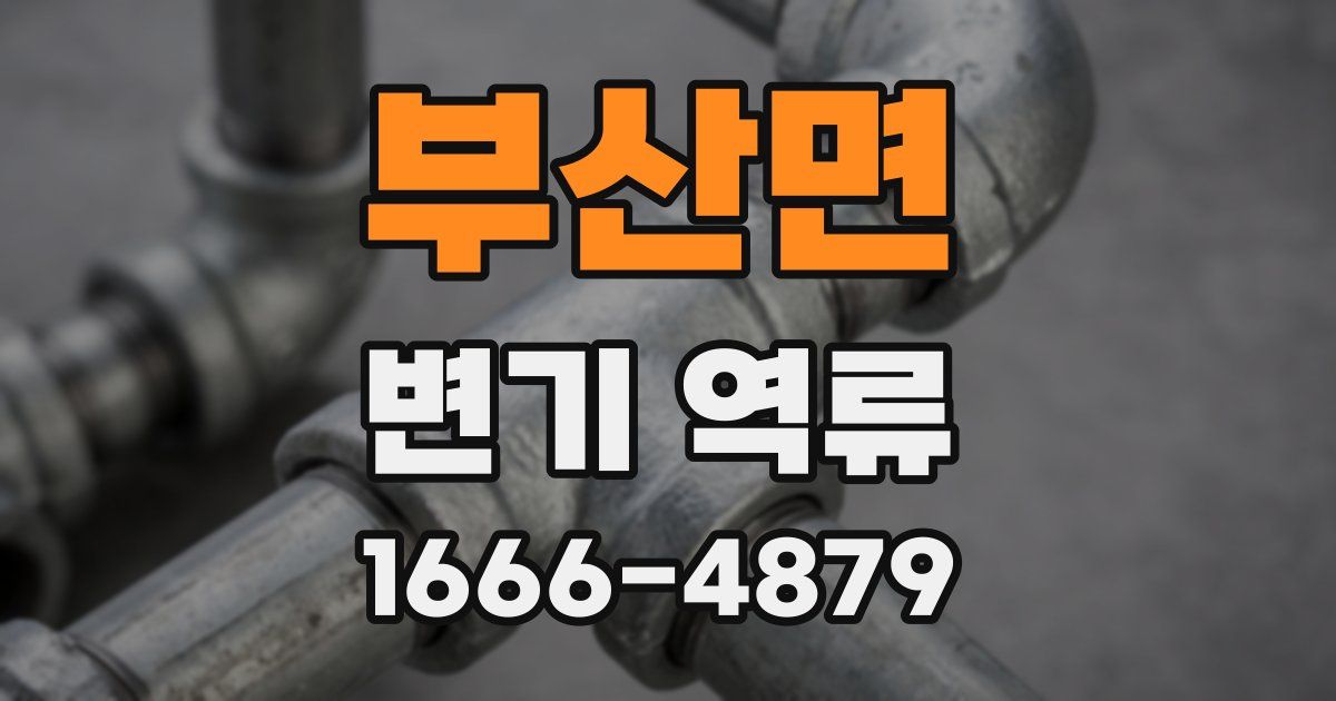 부산면 변기 역류