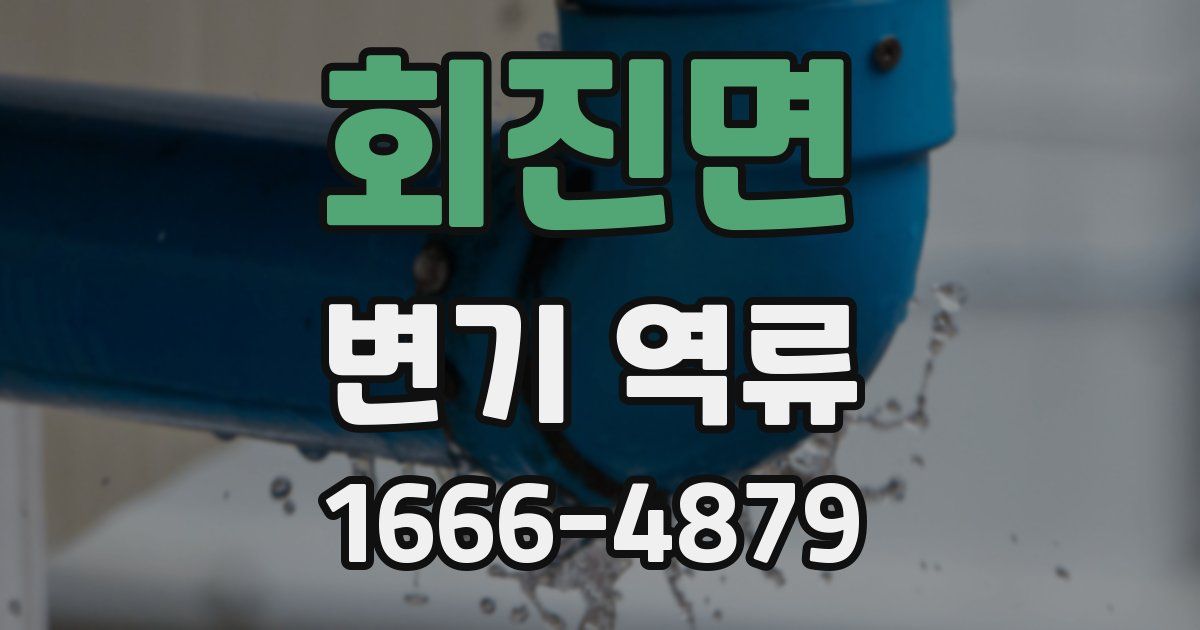 회진면 변기 역류