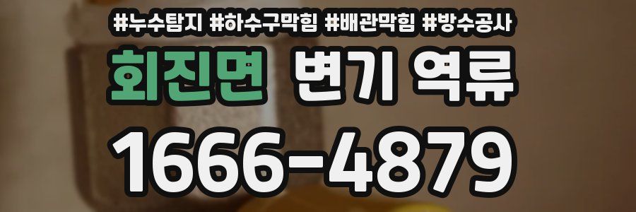회진면 변기 역류