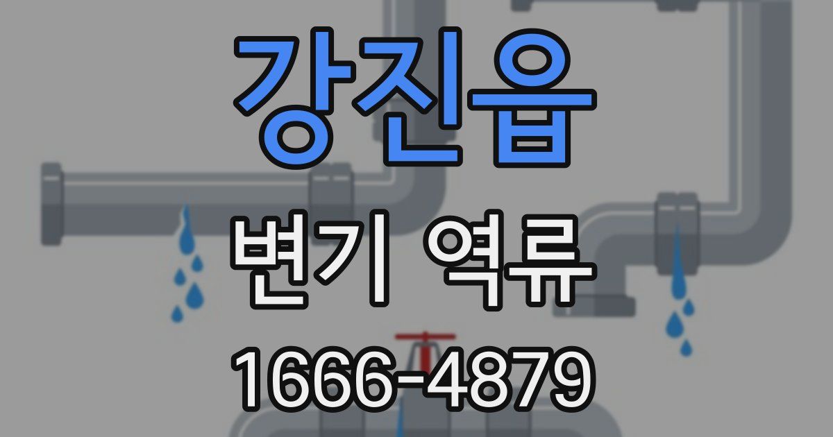 강진읍 변기 역류
