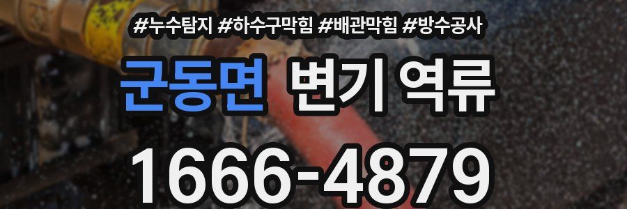 군동면 변기 역류