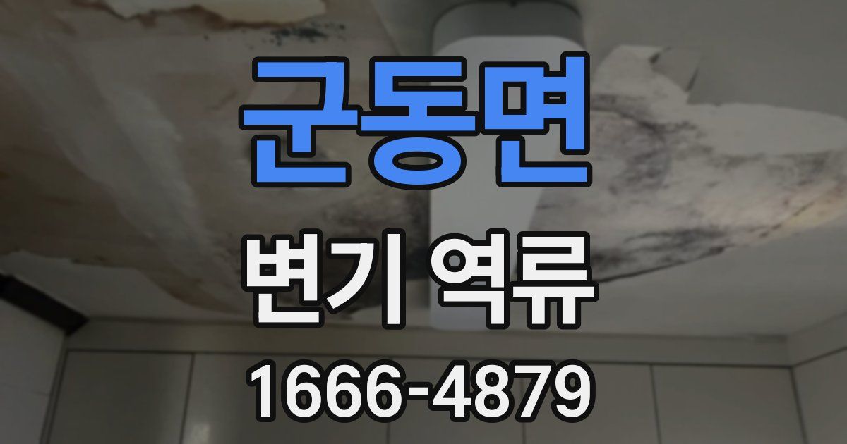 군동면 변기 역류