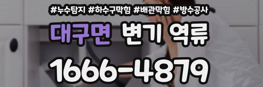 대구면 변기 역류
