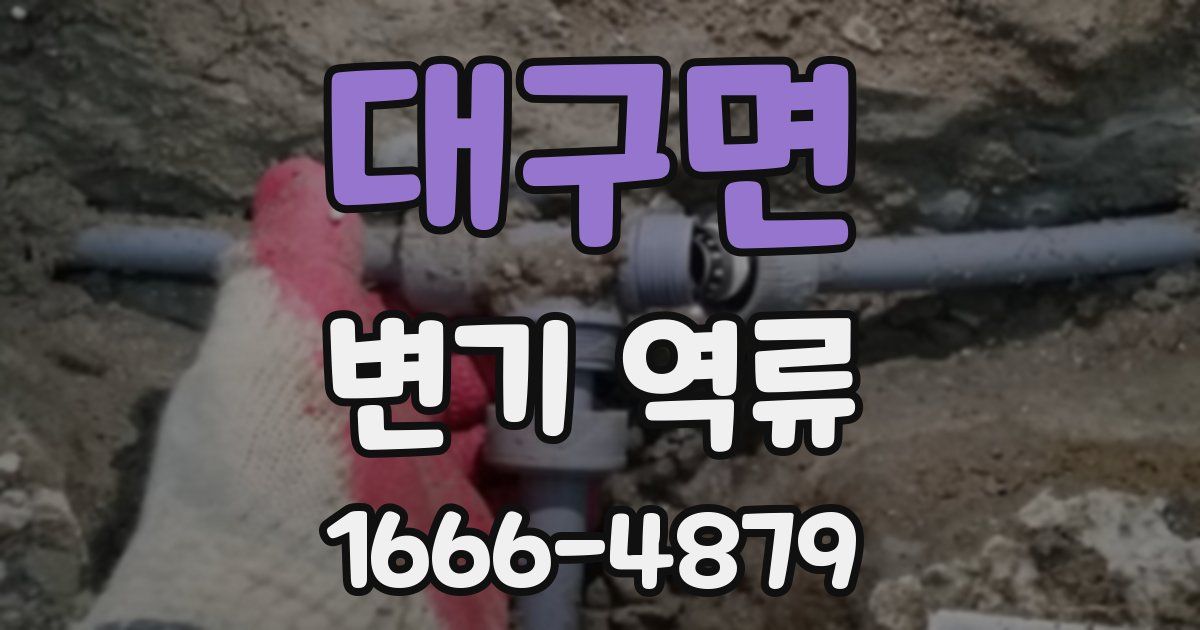 대구면 변기 역류