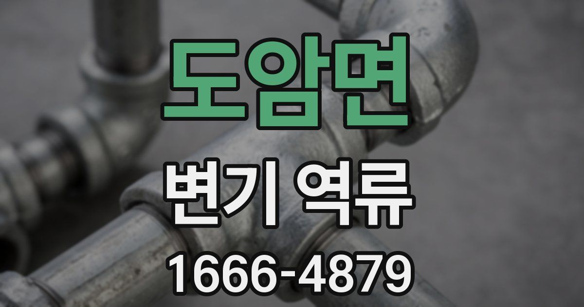 도암면 변기 역류