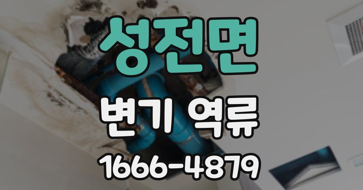 성전면 변기 역류