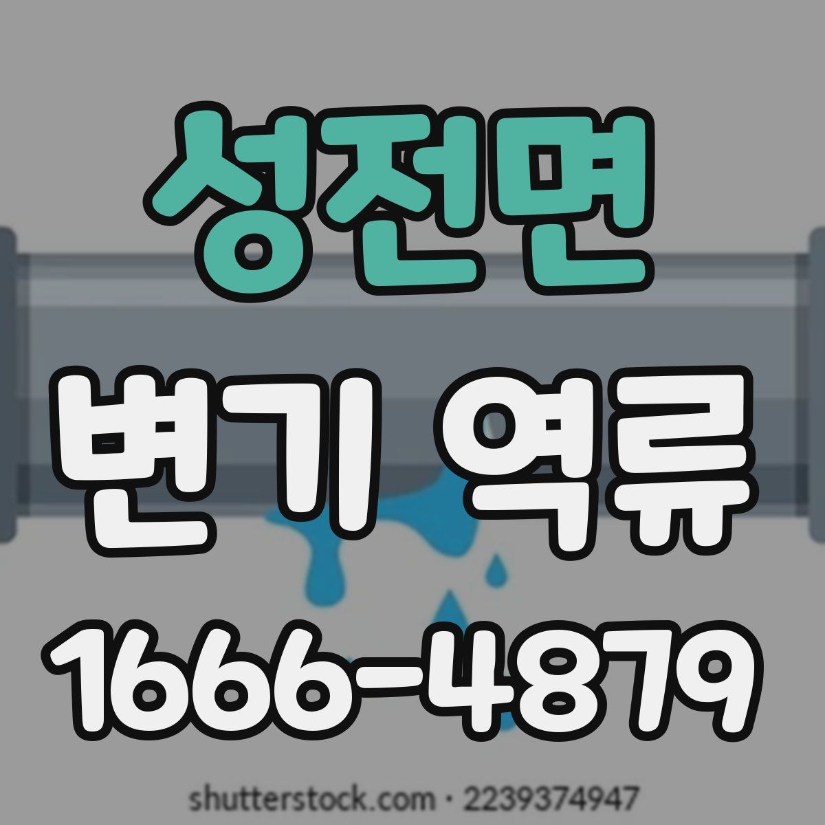 성전면 변기 역류