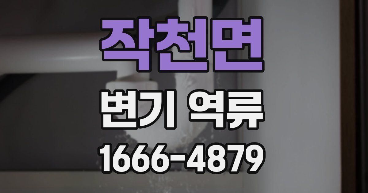 작천면 변기 역류