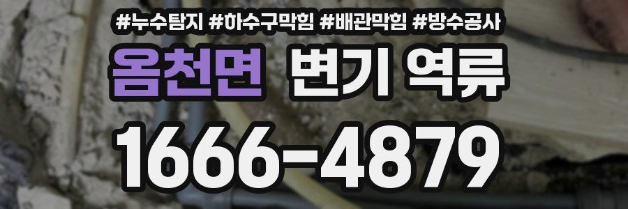 옴천면 변기 역류