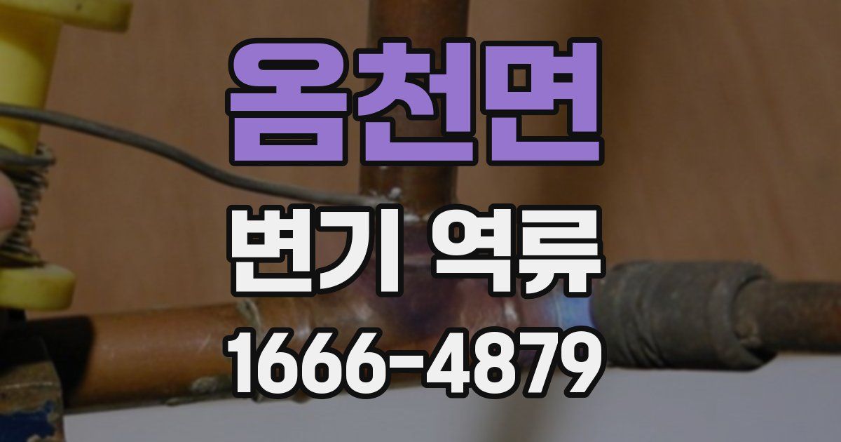 옴천면 변기 역류