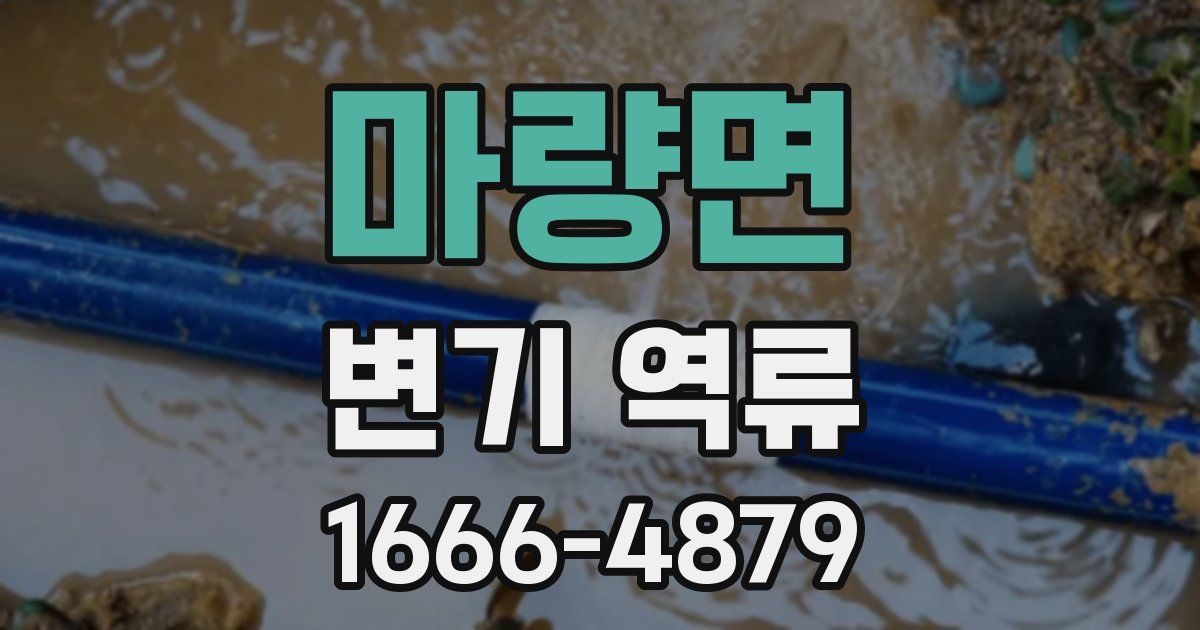 마량면 변기 역류