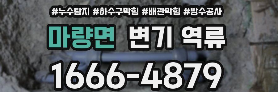 마량면 변기 역류