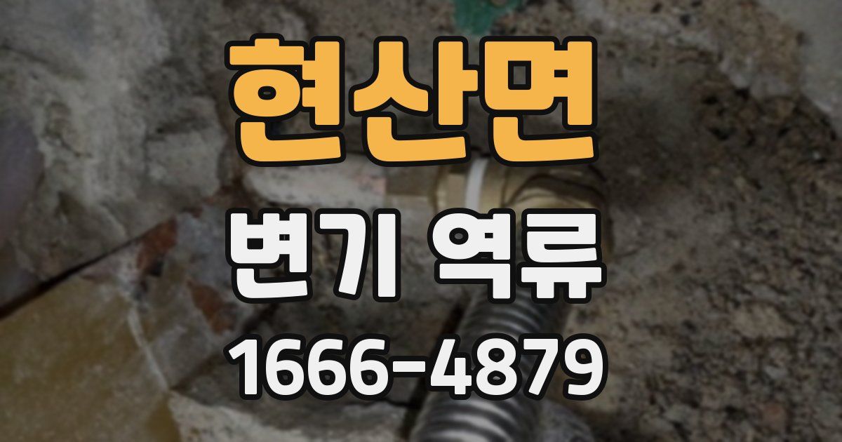 현산면 변기 역류