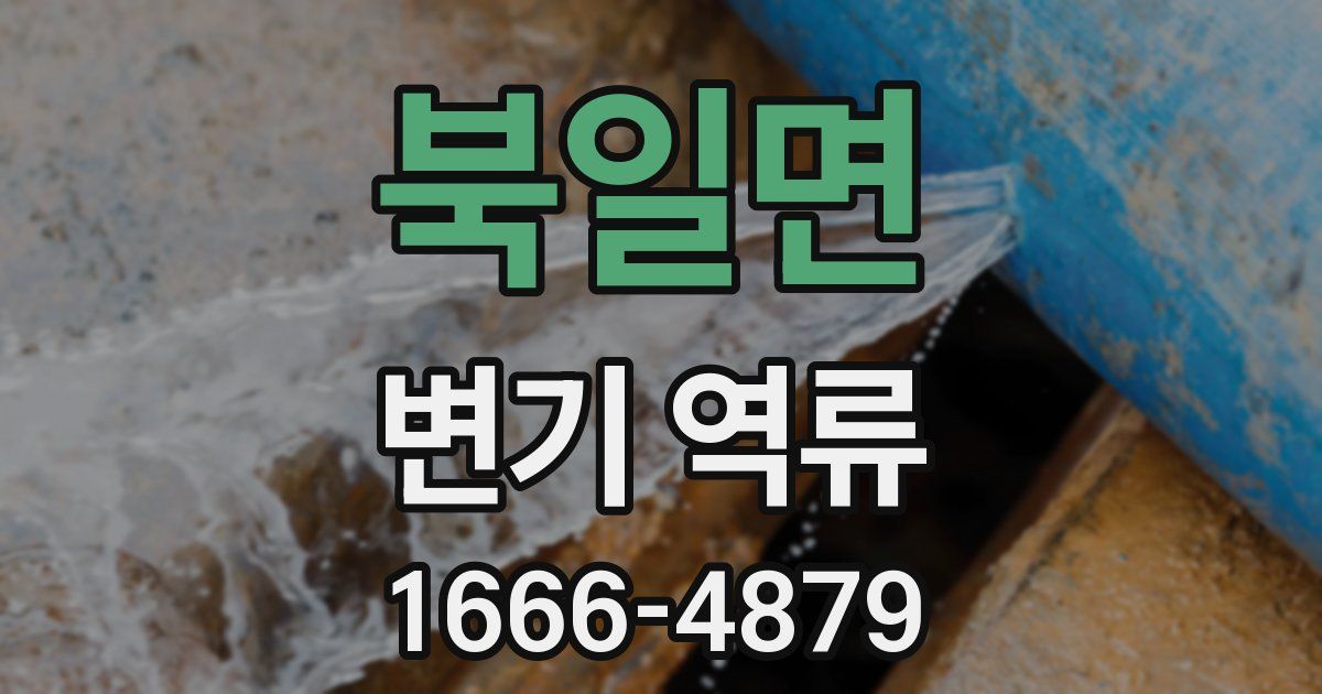 북일면 변기 역류