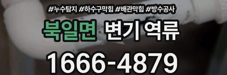 북일면 변기 역류