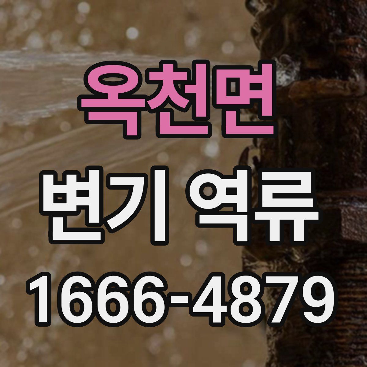 옥천면 변기 역류