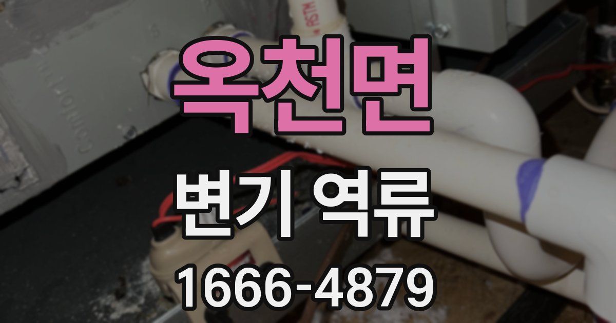 옥천면 변기 역류