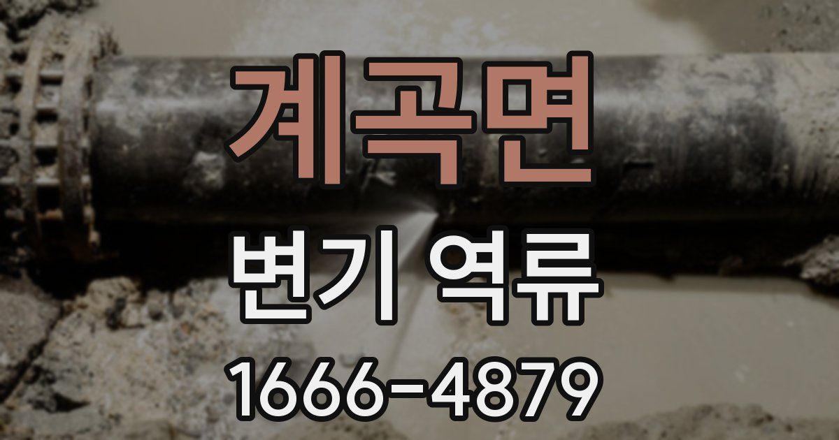 계곡면 변기 역류