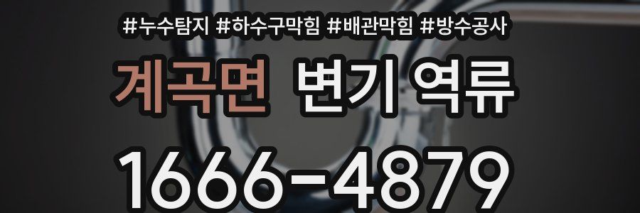 계곡면 변기 역류