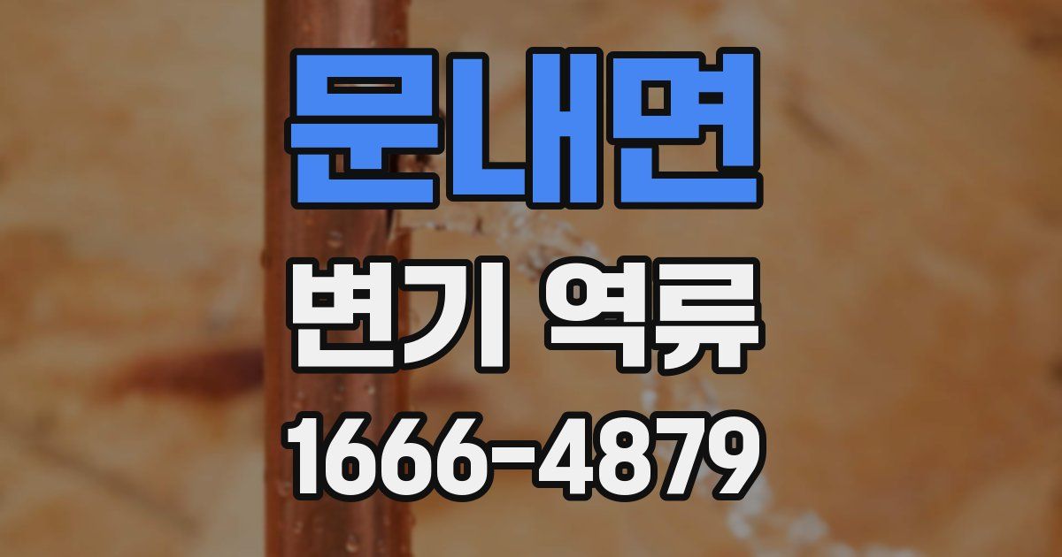 문내면 변기 역류