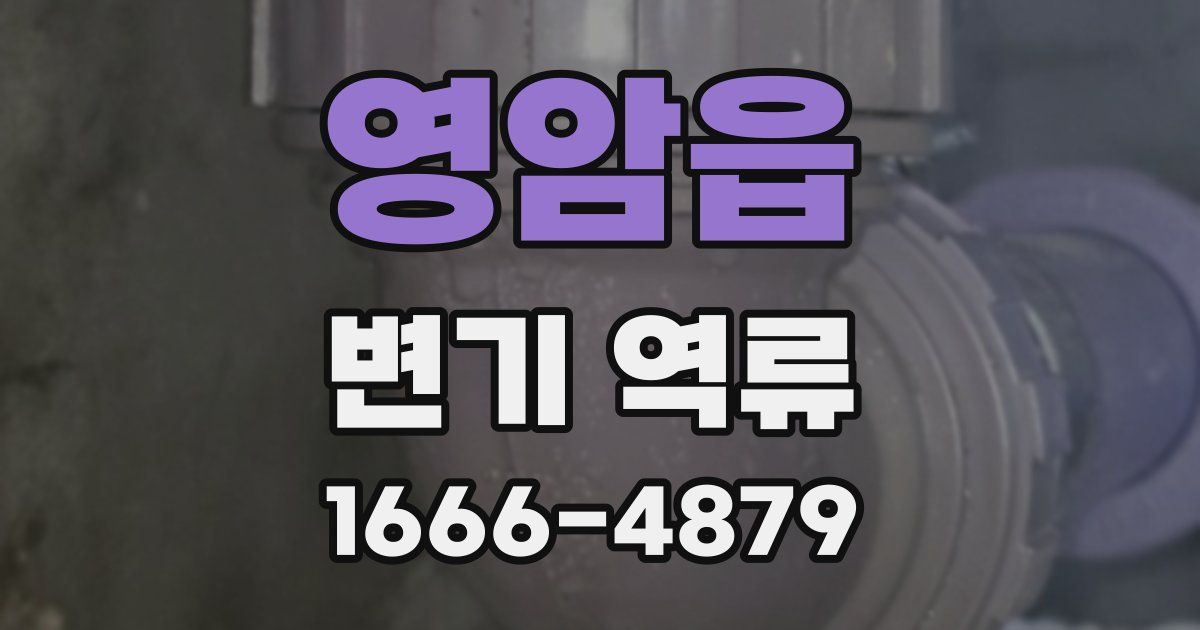 영암읍 변기 역류