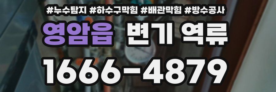 영암읍 변기 역류