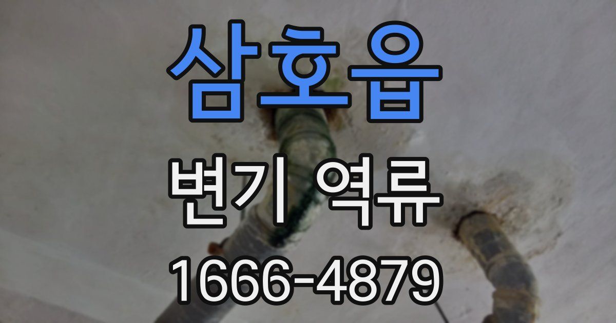 삼호읍 변기 역류