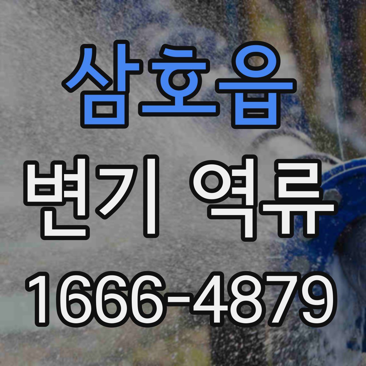 삼호읍 변기 역류