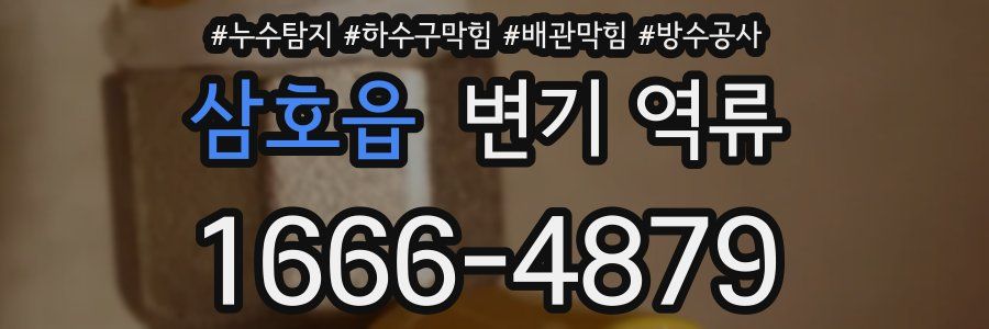 삼호읍 변기 역류