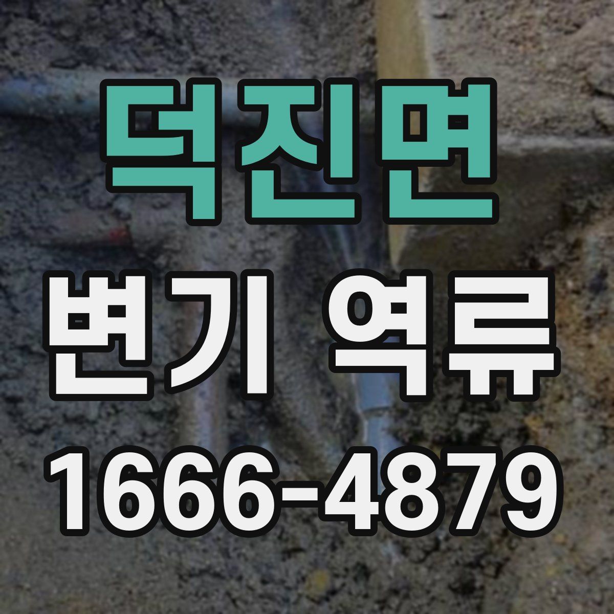 덕진면 변기 역류